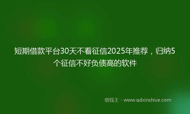 短期借款平台30天不看征信2025年推荐，归纳5个征信不好负债高的软件
