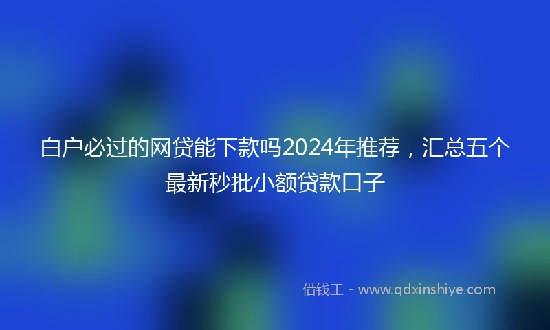 白户必过的网贷能下款吗2024年推荐，汇总五个最新秒批小额贷款口子