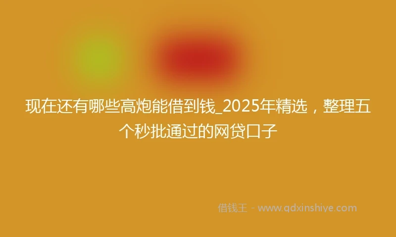 现在还有哪些高炮能借到钱_2025年精选，整理五个秒批通过的网贷口子