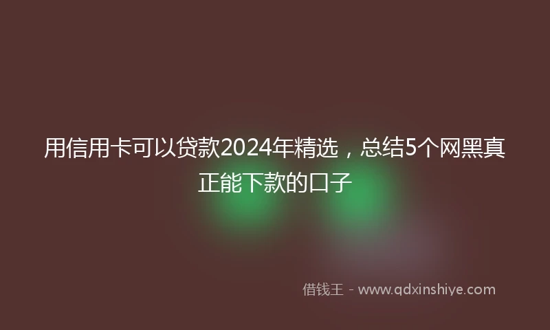 用信用卡可以贷款2024年精选，总结5个网黑真正能下款的口子