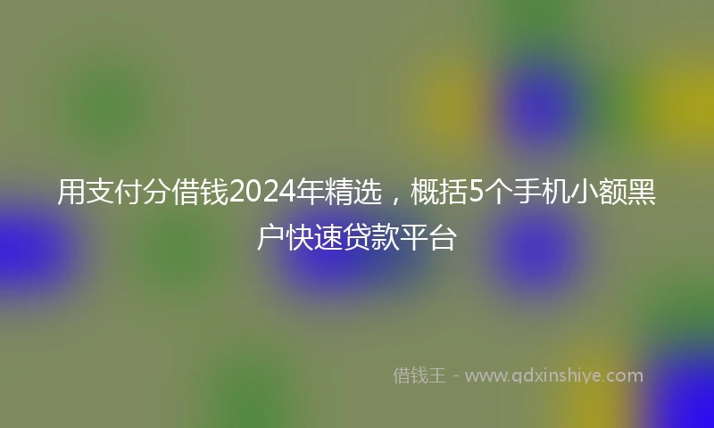 用支付分借钱2024年精选，概括5个手机小额黑户快速贷款平台