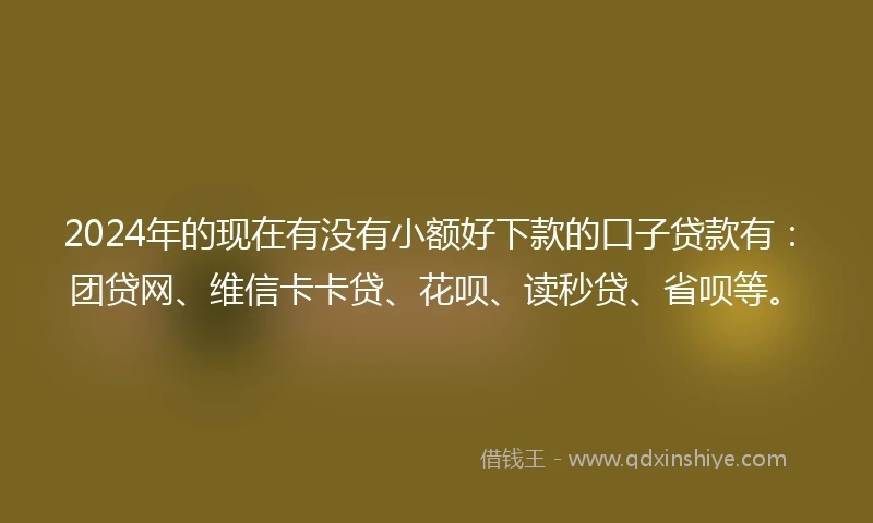 2024年的现在有没有小额好下款的口子贷款有：团贷网、维信卡卡贷、花呗、读秒贷、省呗等。