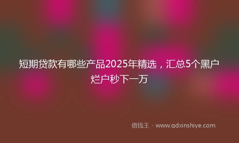 短期贷款有哪些产品2025年精选，汇总5个黑户烂户秒下一万