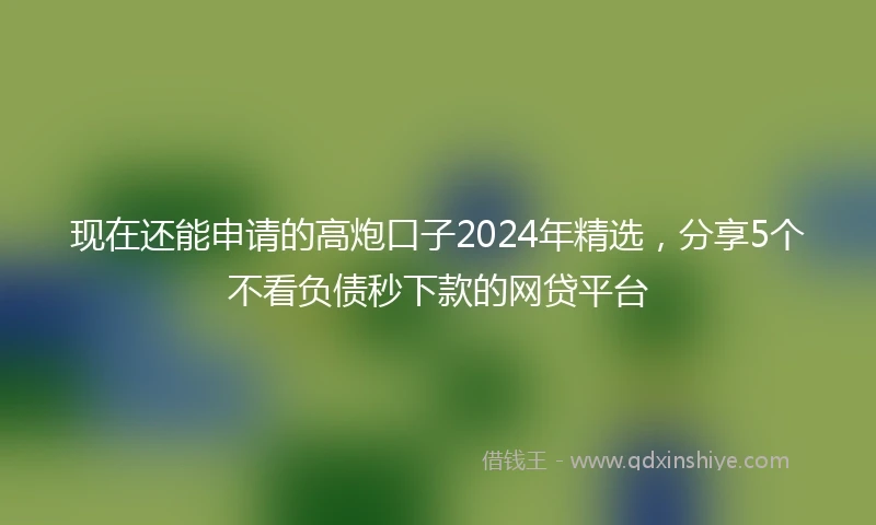 现在还能申请的高炮口子2024年精选，分享5个不看负债秒下款的网贷平台
