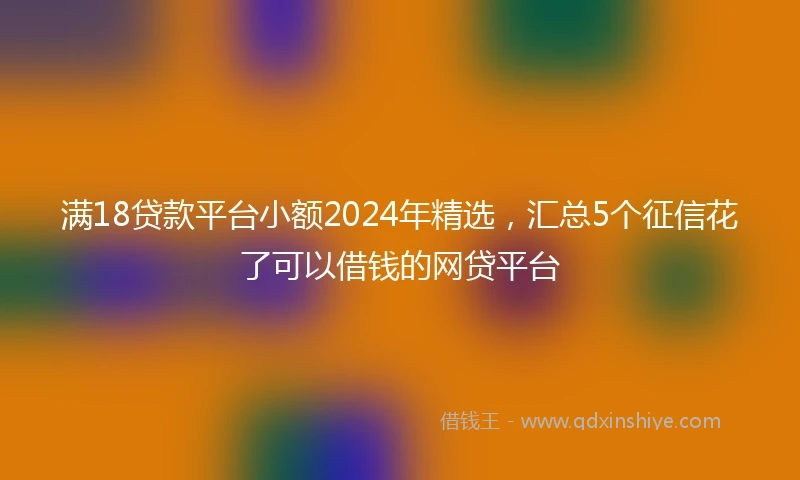 满18贷款平台小额2024年精选，汇总5个征信花了可以借钱的网贷平台