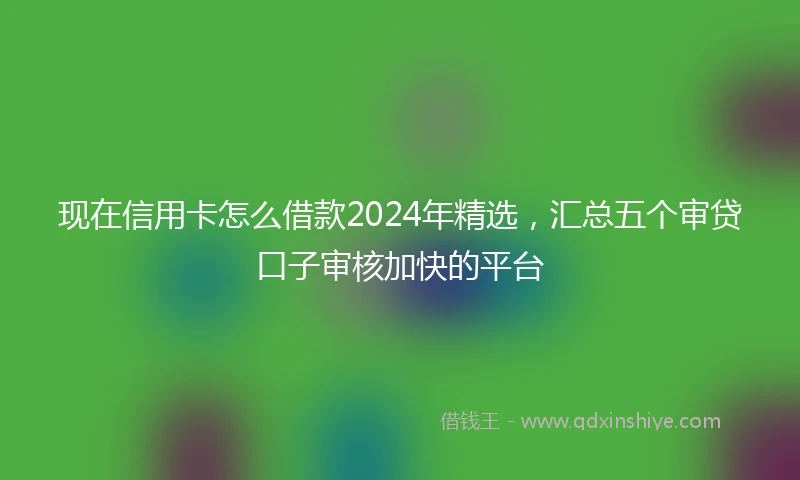 现在信用卡怎么借款2024年精选,汇总五个审贷口子审核加快的平台