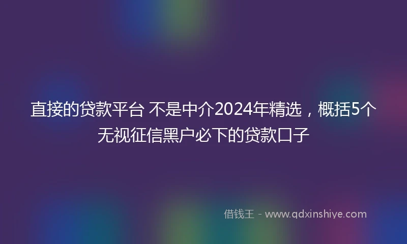 直接的贷款平台 不是中介2024年精选，概括5个无视征信黑户必下的贷款口子