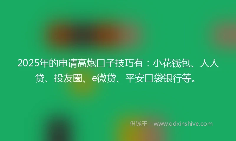 2025年的申请高炮口子技巧有：小花钱包、人人贷、投友圈、e微贷、平安口袋银行等。