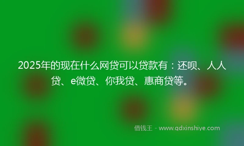 2025年的现在什么网贷可以贷款有：还呗、人人贷、e微贷、你我贷、惠商贷等。