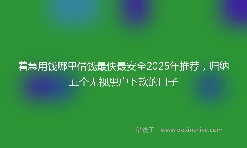 着急用钱哪里借钱最快最安全2025年推荐，归纳五个无视黑户下款的口子