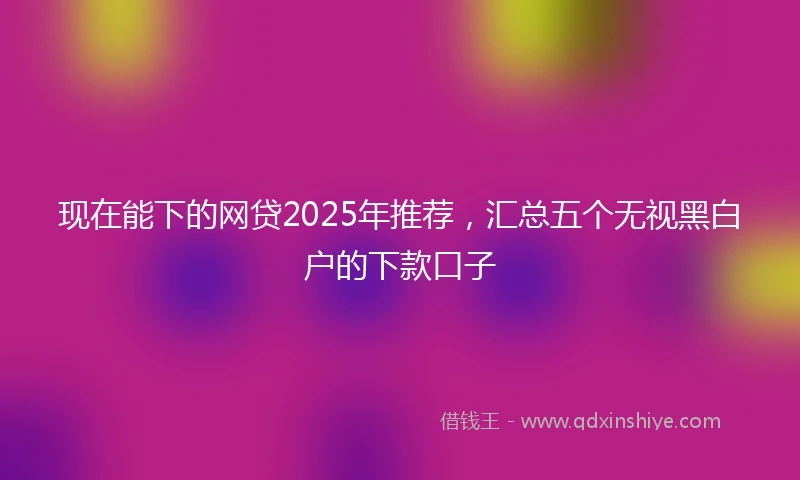 现在能下的网贷2025年推荐，汇总五个无视黑白户的下款口子