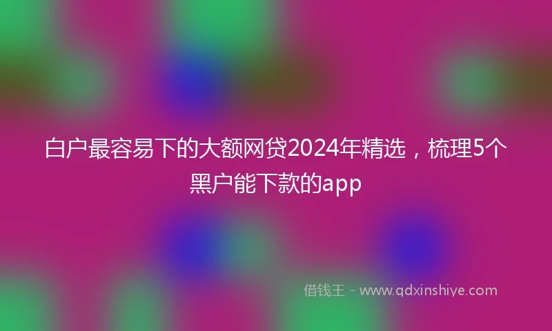 白户最容易下的大额网贷2024年精选，梳理5个黑户能下款的app