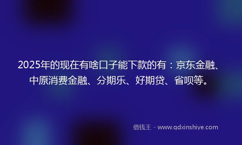 2025年的现在有啥口子能下款的有：京东金融、中原消费金融、分期乐、好期贷、省呗等。