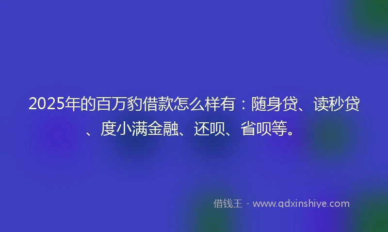 2025年的百万豹借款怎么样有：随身贷、读秒贷、度小满金融、还呗、省呗等。