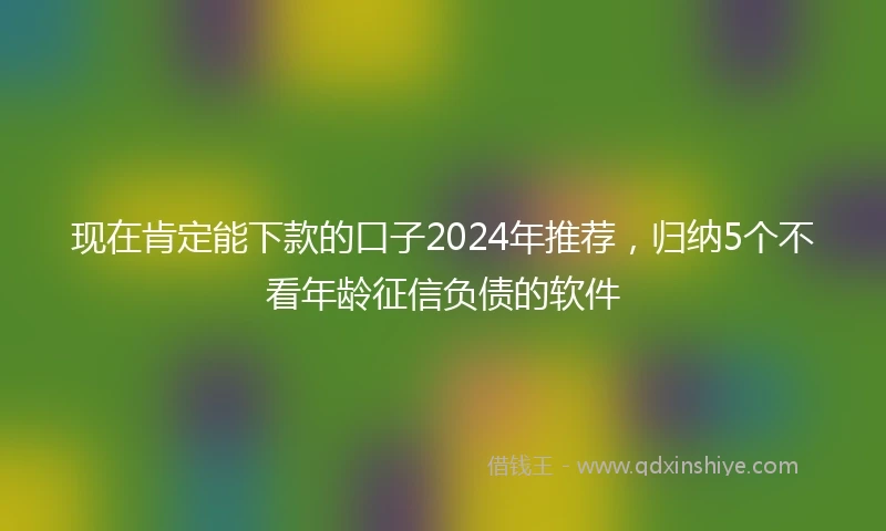 现在肯定能下款的口子2024年推荐，归纳5个不看年龄征信负债的软件