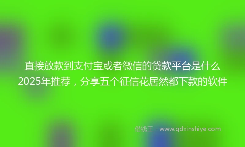直接放款到支付宝或者微信的贷款平台是什么2025年推荐,分享五个征信花居然都下款的软件