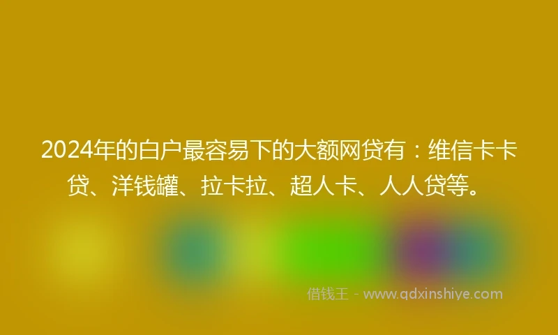 2024年的白户最容易下的大额网贷有：维信卡卡贷、洋钱罐、拉卡拉、超人卡、人人贷等。