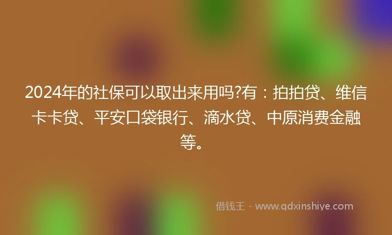 2024年的社保可以取出来用吗?有：拍拍贷、维信卡卡贷、平安口袋银行、滴水贷、中原消费金融等。