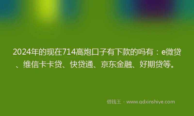 2024年的现在714高炮口子有下款的吗有：e微贷、维信卡卡贷、快贷通、京东金融、好期贷等。
