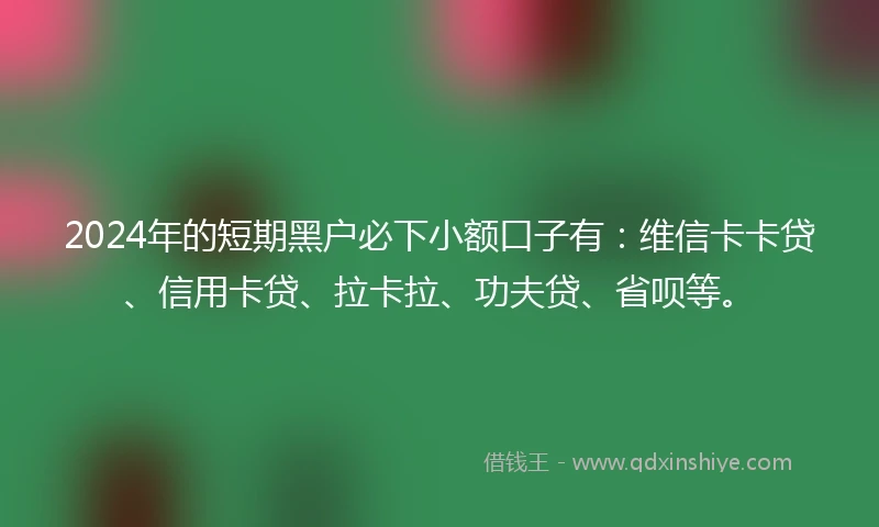 2024年的短期黑户必下小额口子有：维信卡卡贷、信用卡贷、拉卡拉、功夫贷、省呗等。