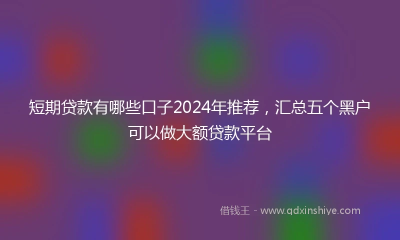 短期贷款有哪些口子2024年推荐，汇总五个黑户可以做大额贷款平台
