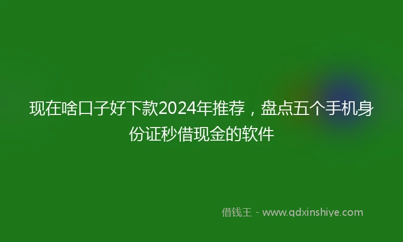 现在啥口子好下款2024年推荐,盘点五个手机身份证秒借现金的软件