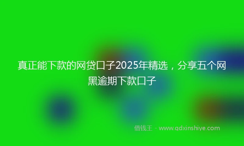 真正能下款的网贷口子2025年精选，分享五个网黑逾期下款口子