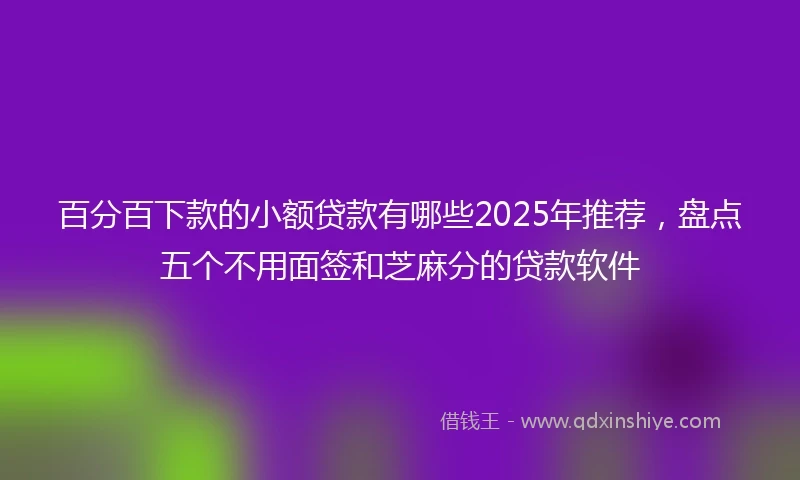 百分百下款的小额贷款有哪些2025年推荐，盘点五个不用面签和芝麻分的贷款软件