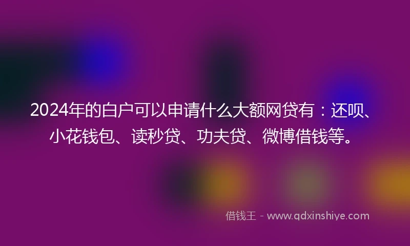 2024年的白户可以申请什么大额网贷有：还呗、小花钱包、读秒贷、功夫贷、微博借钱等。