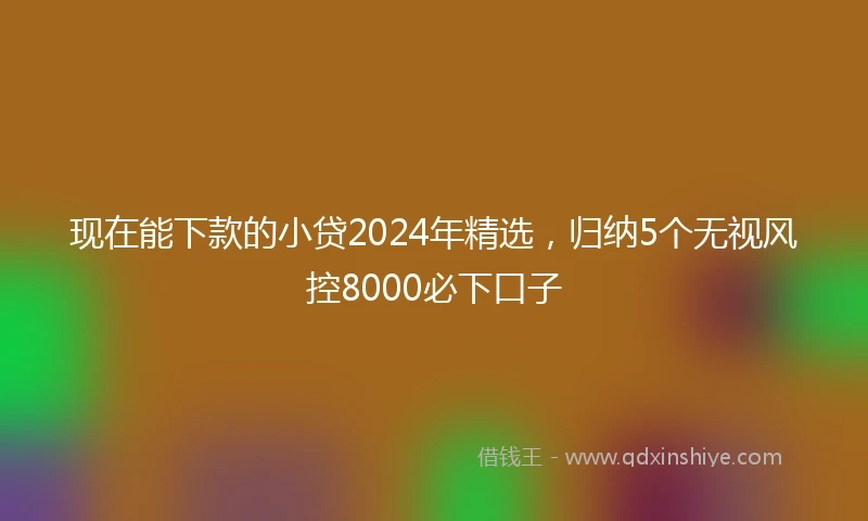 现在能下款的小贷2024年精选，归纳5个无视风控8000必下口子