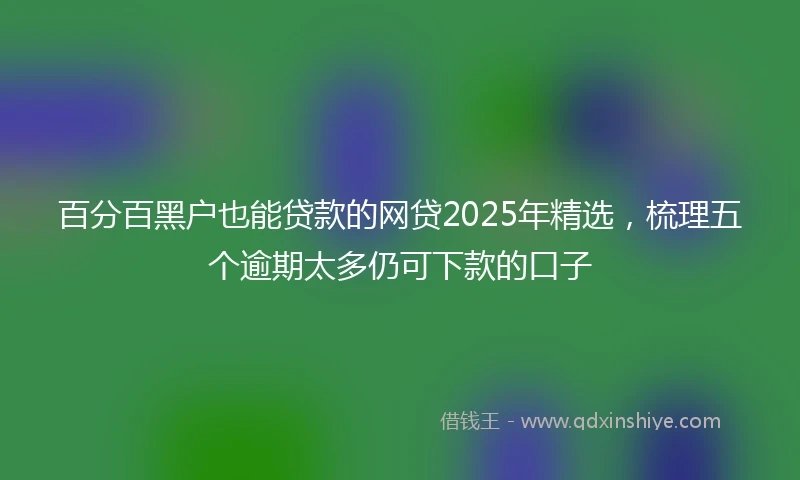 百分百黑户也能贷款的网贷2025年精选，梳理五个逾期太多仍可下款的口子