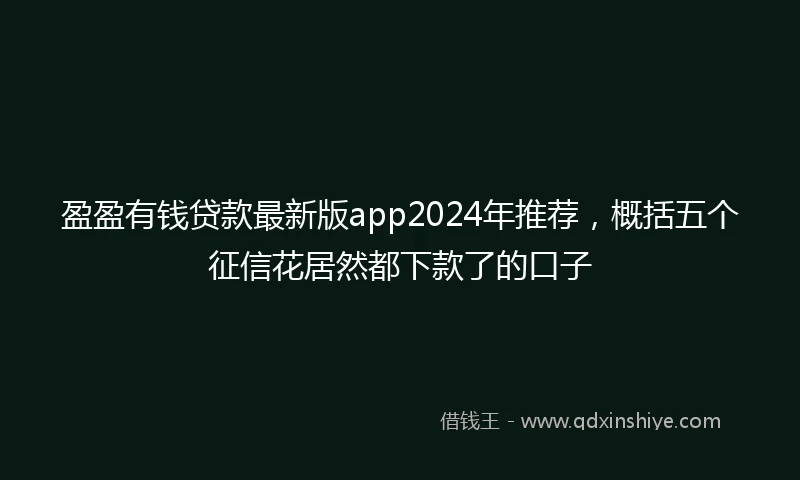 盈盈有钱贷款最新版app2024年推荐，概括五个征信花居然都下款了的口子