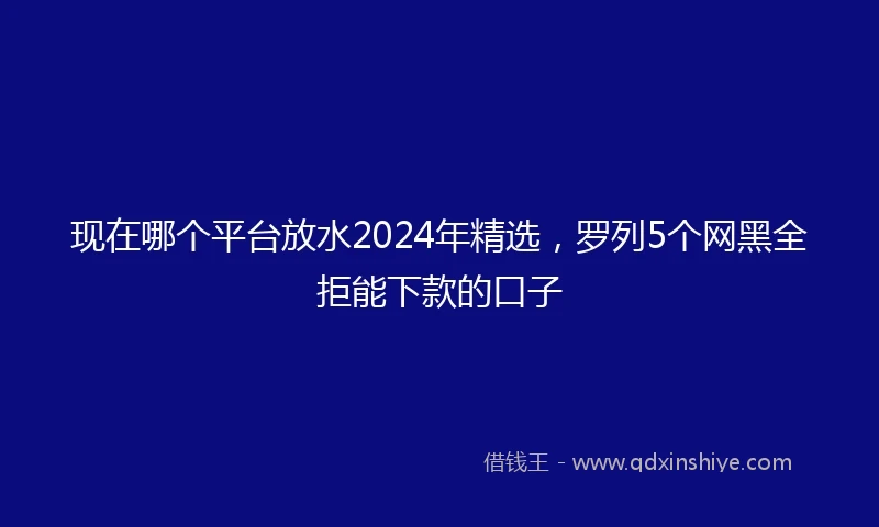 现在哪个平台放水2024年精选,罗列5个网黑全拒能下款的口子