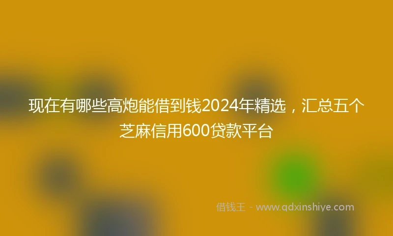 现在有哪些高炮能借到钱2024年精选，汇总五个芝麻信用600贷款平台