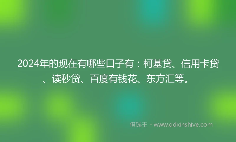 2024年的现在有哪些口子有：柯基贷、信用卡贷、读秒贷、百度有钱花、东方汇等。
