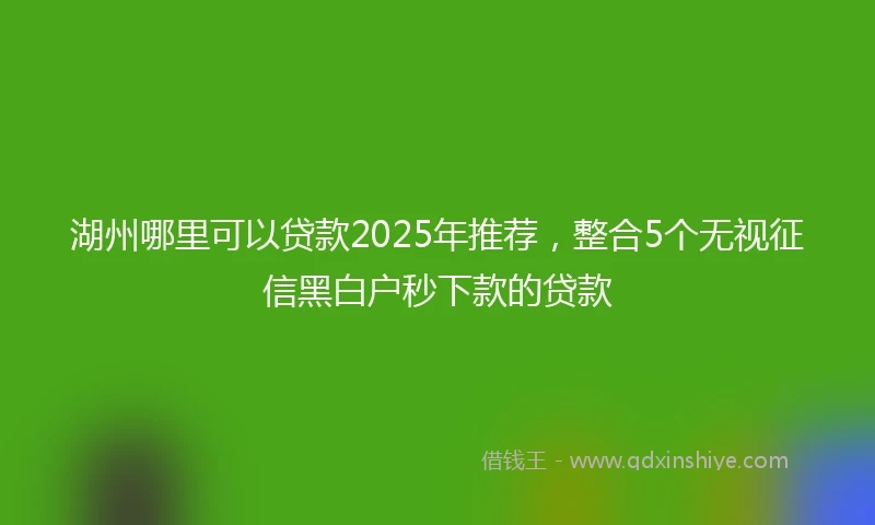 湖州哪里可以贷款2025年推荐，整合5个无视征信黑白户秒下款的贷款
