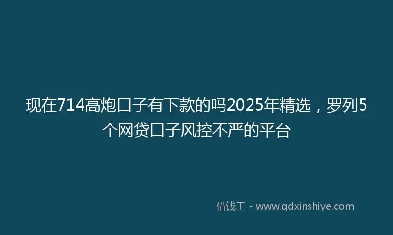 现在714高炮口子有下款的吗2025年精选，罗列5个网贷口子风控不严的平台