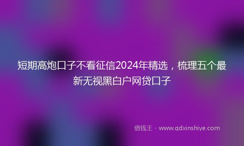 短期高炮口子不看征信2024年精选，梳理五个最新无视黑白户网贷口子