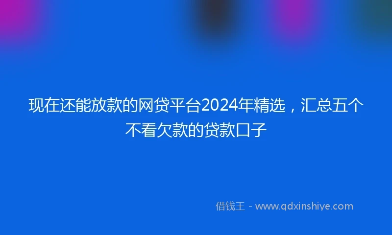 现在还能放款的网贷平台2024年精选，汇总五个不看欠款的贷款口子