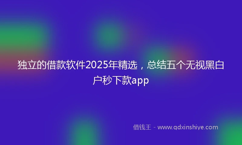 独立的借款软件2025年精选，总结五个无视黑白户秒下款app