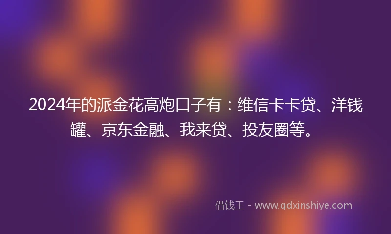 2024年的派金花高炮口子有：维信卡卡贷、洋钱罐、京东金融、我来贷、投友圈等。