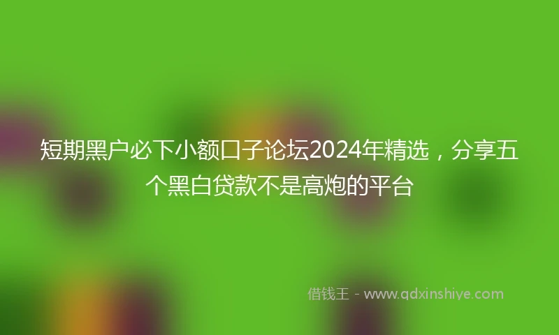 短期黑户必下小额口子论坛2024年精选，分享五个黑白贷款不是高炮的平台