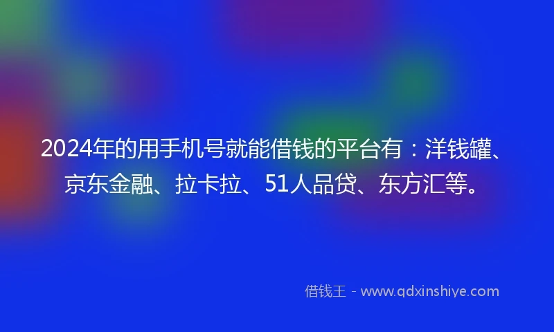 2024年的用手机号就能借钱的平台有：洋钱罐、京东金融、拉卡拉、51人品贷、东方汇等。