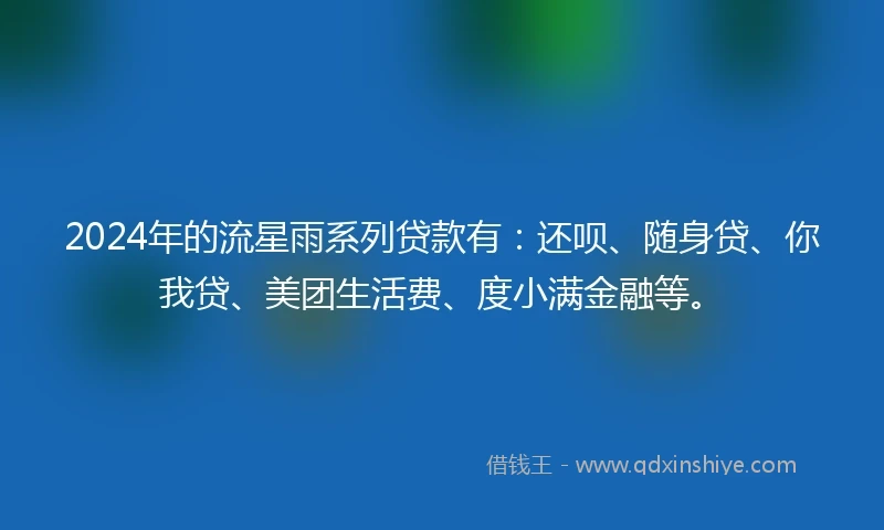 2024年的流星雨系列贷款有：还呗、随身贷、你我贷、美团生活费、度小满金融等。