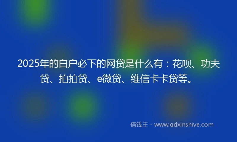 2025年的白户必下的网贷是什么有：花呗、功夫贷、拍拍贷、e微贷、维信卡卡贷等。