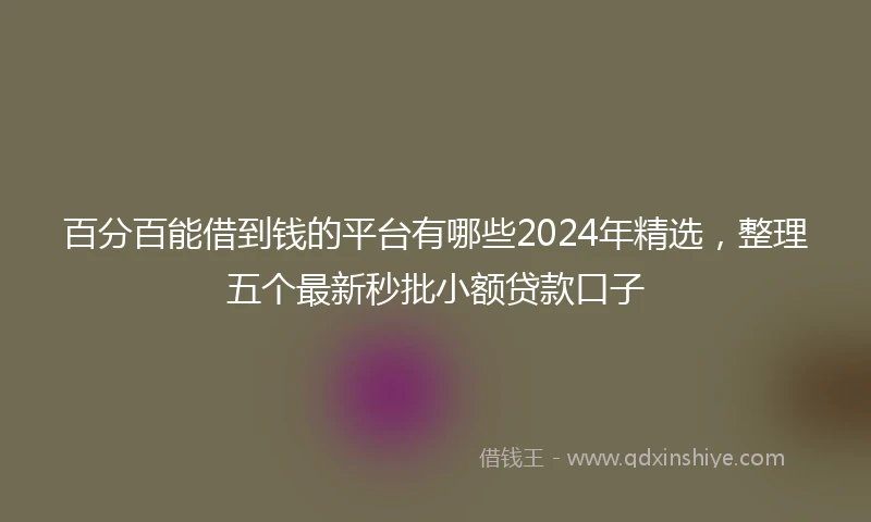 百分百能借到钱的平台有哪些2024年精选，整理五个最新秒批小额贷款口子