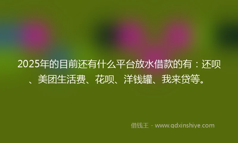 2025年的目前还有什么平台放水借款的有：还呗、美团生活费、花呗、洋钱罐、我来贷等。