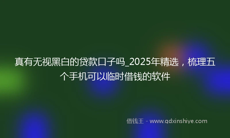 真有无视黑白的贷款口子吗_2025年精选，梳理五个手机可以临时借钱的软件