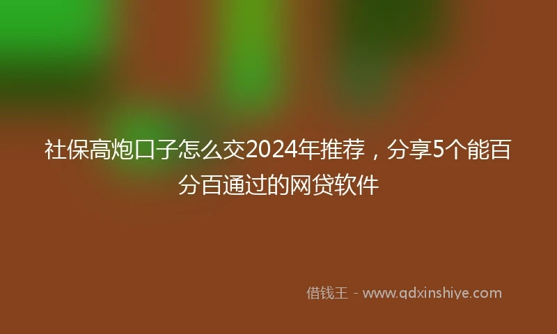 社保高炮口子怎么交2024年推荐，分享5个能百分百通过的网贷软件