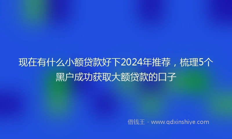 现在有什么小额贷款好下2024年推荐，梳理5个黑户成功获取大额贷款的口子